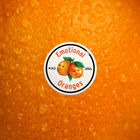 Emotional Oranges - The Juice: Vol. I