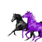 Old Town Road (Feat. Rm Of Bts) (Seoul Town Road Remix) (CDS)