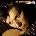 The Blow Monkeys - Acoustic