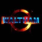 Waltham - You're Everything That I Want