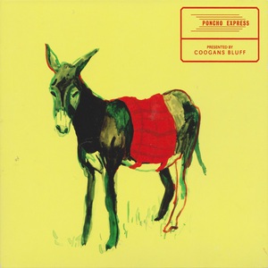 Poncho Express
