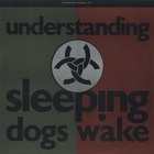 Sleeping Dogs Wake - Understanding