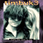 Timbuk 3 - Looks Like Dark To Me (EP)