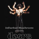 Infected Mushroom - The Doors Remixed CD1