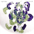 Night Idea - Ocho The Cat