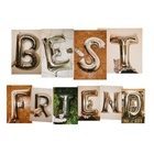 Best Friend (CDS)