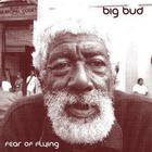 Big Bud - Fear Of Flying CD1
