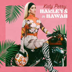 Harleys In Hawaii (CDS)