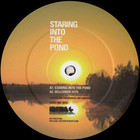 Joey Anderson - Staring Into The Pond (EP)