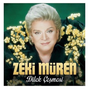 Dİlek Çeşmesİ (Vinyl)