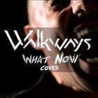Walkways - What Now (CDS)