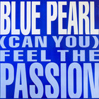 (Can You) Feel The Passion (CDS)