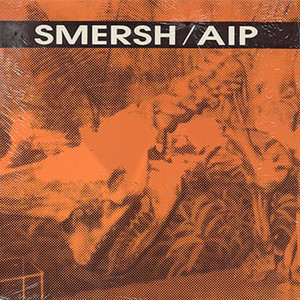 Aip (Vinyl)