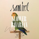 Sam Irl - Slower Bavarian (EP)