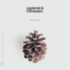 Gabriel & Dresden - Remedy CD1