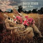 david starr - Beauty & Ruin