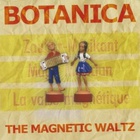The Magnetic Waltz