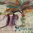 Emerson Hart - 32 Thousand Days