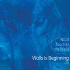 Nico Touches The Walls - Walls Is Beginning