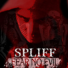 Kaotic Klique - Fear No Evil