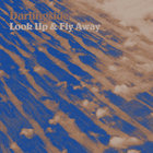 Darlingside - Look Up & Fly Away