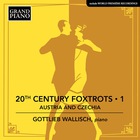 Gottlieb Wallisch - 20Th Century Foxtrots, Vol. 1: Austria & Czechia