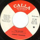 Johnny Thunder - I'm Alive / Verbal Expressions Of T.V. (VLS)