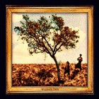 Wizened Tree - Rock N Roll From Tocantins