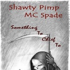 Shawty Pimp - Something To Chief To