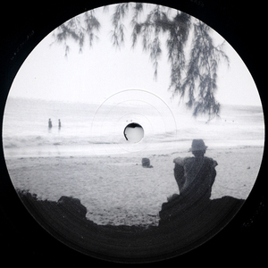 Snapshots (Vinyl)