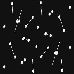 Dance Of A Trillion Stars