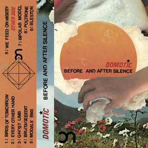 Before & After Silence (Tape)