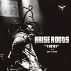 Arise Roots - Crisis (VLS)