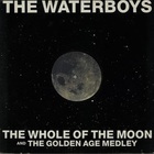 The Waterboys - The Whole Of The Moon (Vinyl)