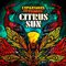 Citrus Sun - Expansions and Visions