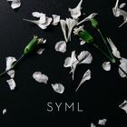 Syml - Meant To Stay Hid (CDS)