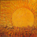 Geisterfahrer - Stein & Bein (Vinyl)