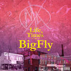 Big Kahuna OG - Life & Times Of Bigfly (With Fly Anakin)