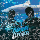 Big Kahuna OG - Ocean Grown (With Graymatter)