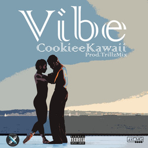 Vibe (CDS)
