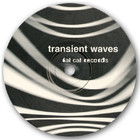 Transient Waves - Born With A Body And Fucked In The Head (EP)