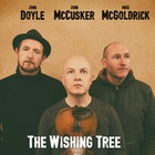 John Doyle - The Wishing Tree (With John Mccusker & Mike Mcgoldrick)