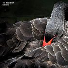 habelard2 - The Black Swan