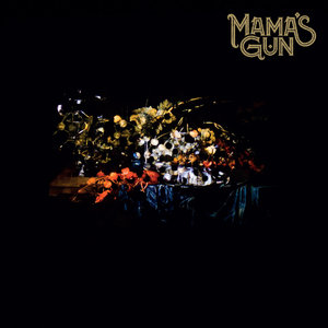 Mama's Gun