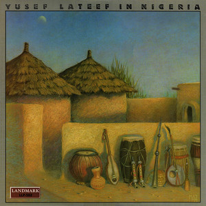 In Nigeria (Vinyl)