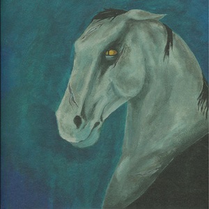 The Horse From Hell