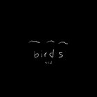 Sugar Cane Davis - Birds