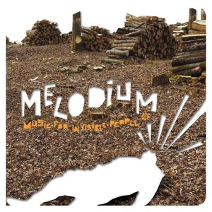 Music For Invisible People