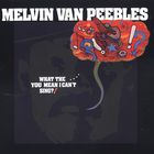 Melvin Van Peebles - What The .... You Mean I Can't Sing?! (Vinyl)