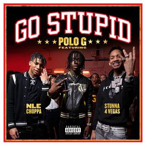 Go Stupid (CDS)